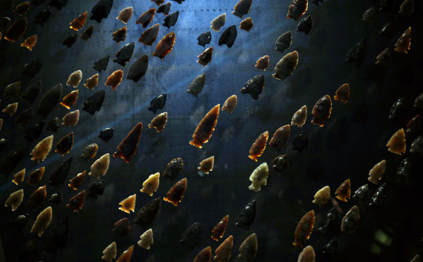 „Wie kann es sein, dass ich davon gar nichts wusste?“