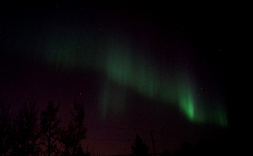 Aurora borealis. Nordlichter über Edmonton.