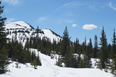 Das Ende des Aufstiegs zu den Bald Hills - hüfttiefer Schnee