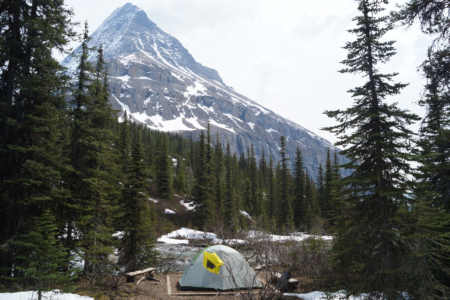 Zelt am Emperor Campground mit Mt. Robson im Hintergrund