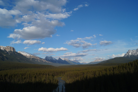 Blick vom Fryatt Trail auf den Athabasca River